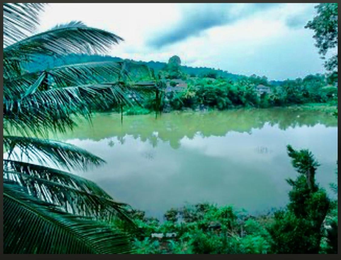 Amanzi Residence Kandy Exterior photo